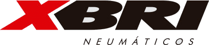 XBRI