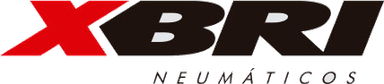 XBRI